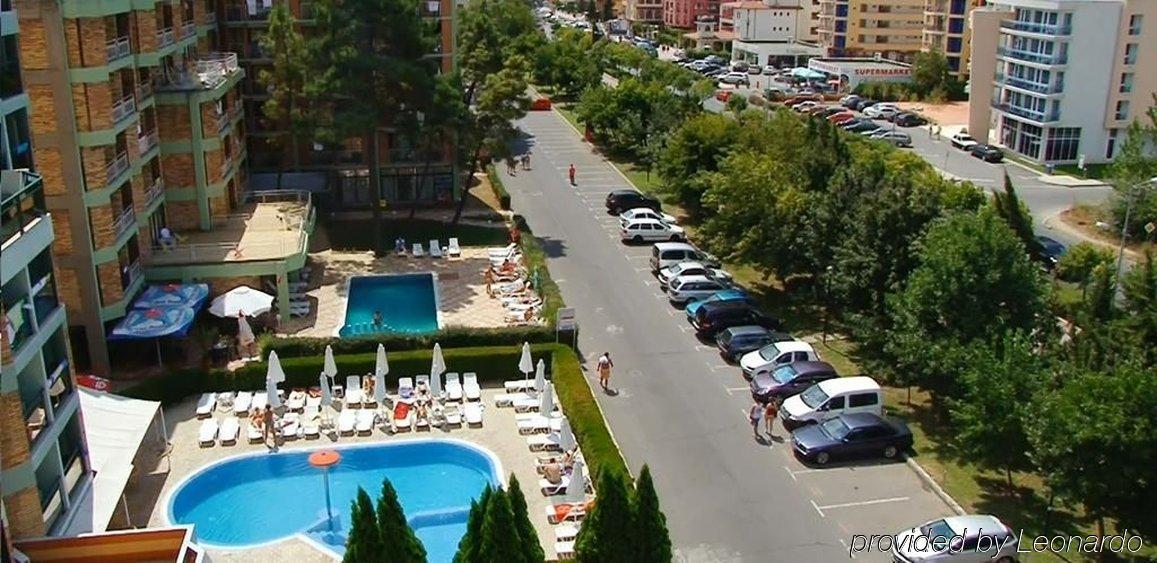 Aktinia